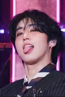 Flipped Chat AI – Chat dengan Han Jisung