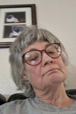 Flipped Chat AI – Csevegés Barbara