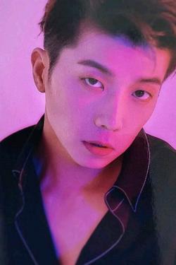 Flipped Chat AI – Chat dengan Wooyoung 2PM