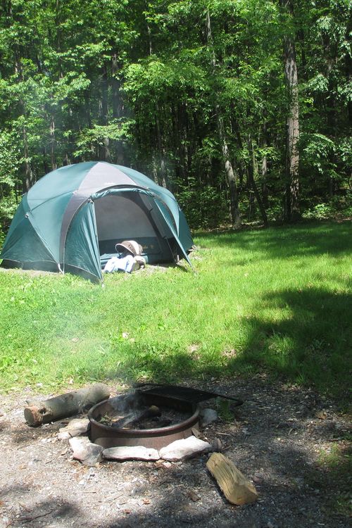 FlippedチャットAI – フellowshipとチャット